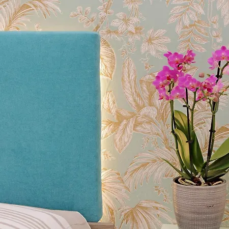 Alba Re Di Apartamento *